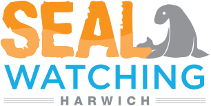 <br />
<b>Warning</b>:  Undefined variable $image in <b>/home/sites/sealwatching.co.uk/public_html/wp-content/themes/sealwatching/header.php</b> on line <b>56</b><br />
<br />
<b>Warning</b>:  Trying to access array offset on value of type null in <b>/home/sites/sealwatching.co.uk/public_html/wp-content/themes/sealwatching/header.php</b> on line <b>56</b><br />
